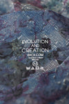 Ladies Activewear - Evolution & Creation - Size M - LACT - FAS029 - GEE