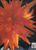 Chihuly - Donald B. Kuspit - BMUS - BOO061A