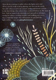 Phosphorescence - Julia Baird - BHEA - BOO027B