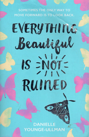 Everything Beautiful is Not Ruined - Danielle Younge-Ullman - BHEA - BOO029