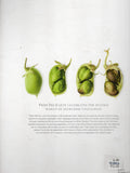 From the Earth: World's Great, Rare and Almost Forgotten Vegetables - Peter Gilmore - BREF - BCOO - BOO005