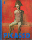 Picasso - BCRA - BOO033