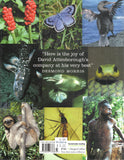 Life Stories - David Attenborough - BBIO - BOO025