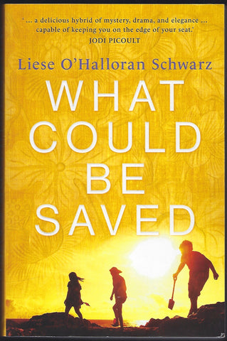 What Could Be Saved - Liese O’Halloran Schwarz - BPAP1252 - BOO