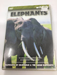 DVD - Elephants - E - DVDMD247 - GEE
