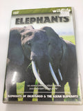 DVD - Elephants - E - DVDMD247 - GEE