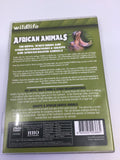 DVD - African Animals - E - DVDMD243 - GEE