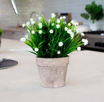 20cm Artificial Coloured Plant in Pot White N-PLA