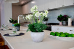 42cm Artificial Plant White Flowers in Pot N-PLA